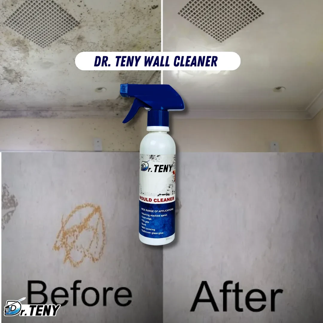 Dr Teny Wall Mould Cleaner Spray 250 ml